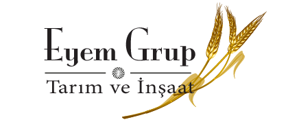 eyem group